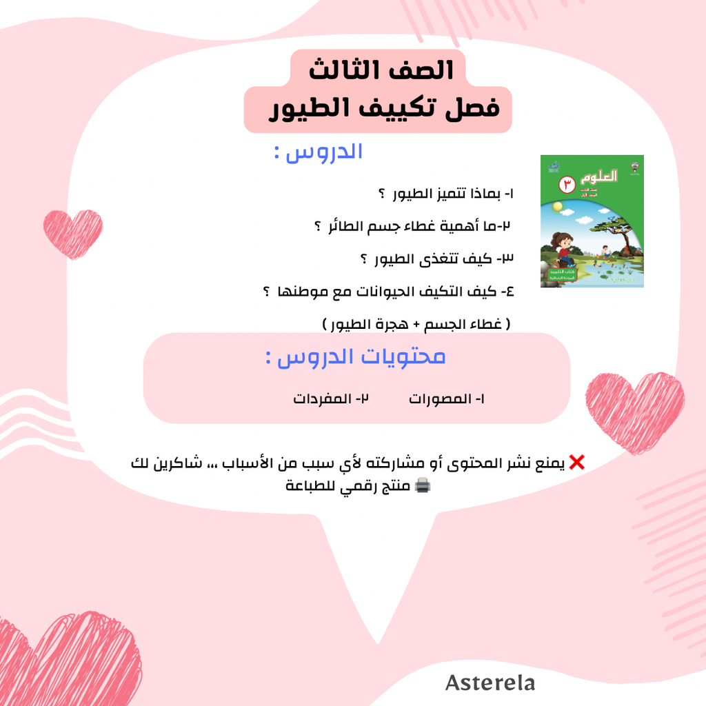 الصف الثالث : مصورات الطيور و غطاء الجسم