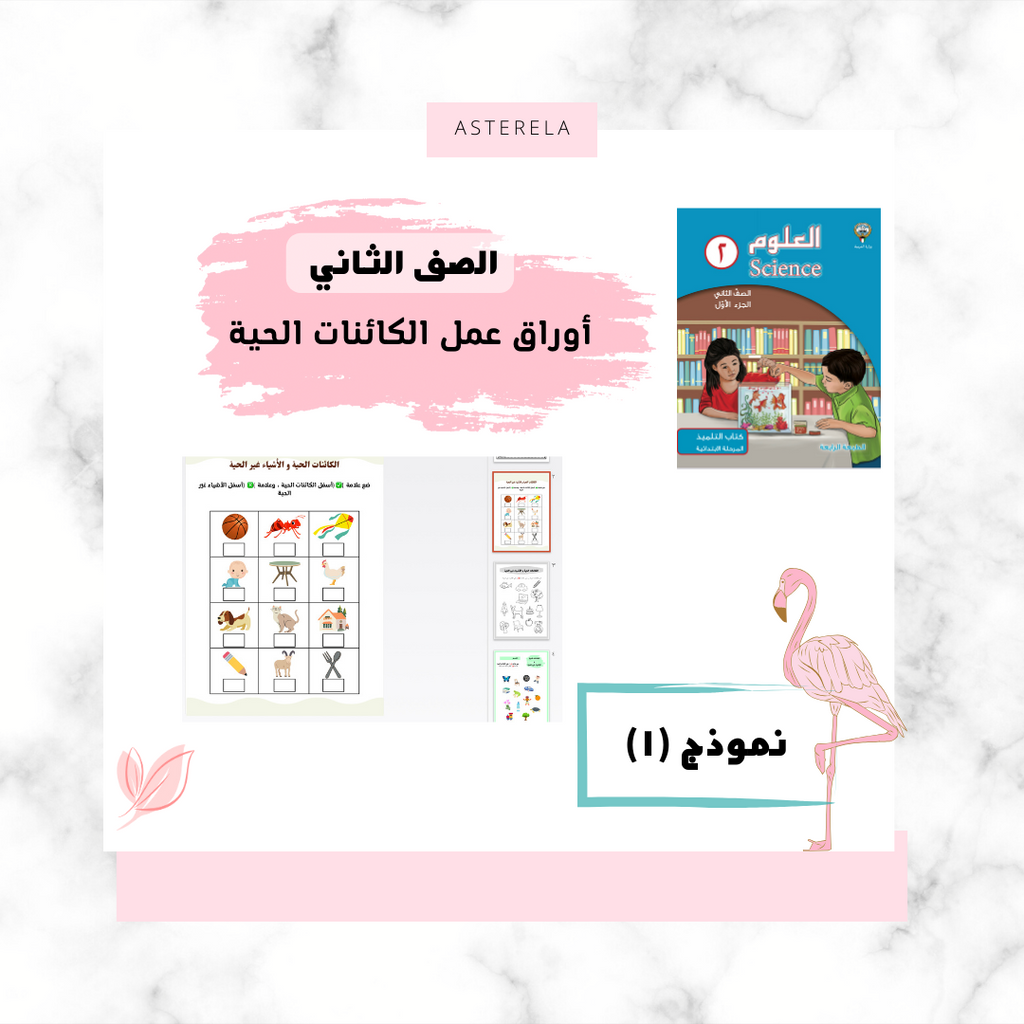 ورقة عمل الكائنات الحية  النموذج الأول