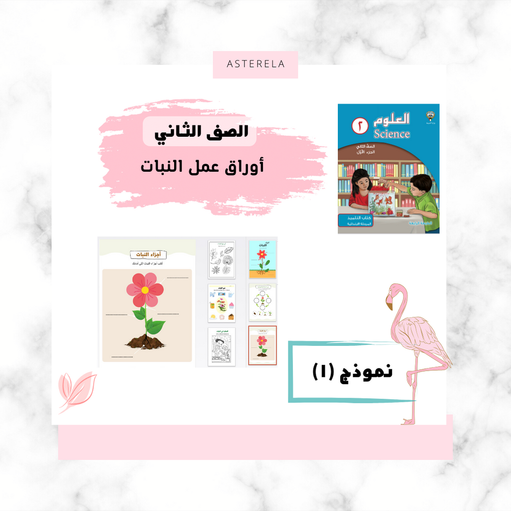 ورقة عمل النبات النموذج الأول